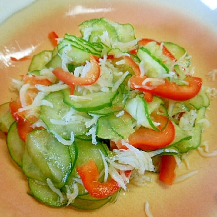 簡単箸休め~きゅうり+しらす+パブリカの味ぽん和え